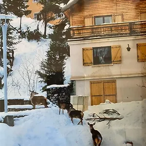 Chalet Familial, Auron